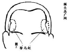 长伏羲骨的男人面相_伏羲骨面相图解_伏羲骨面相图解