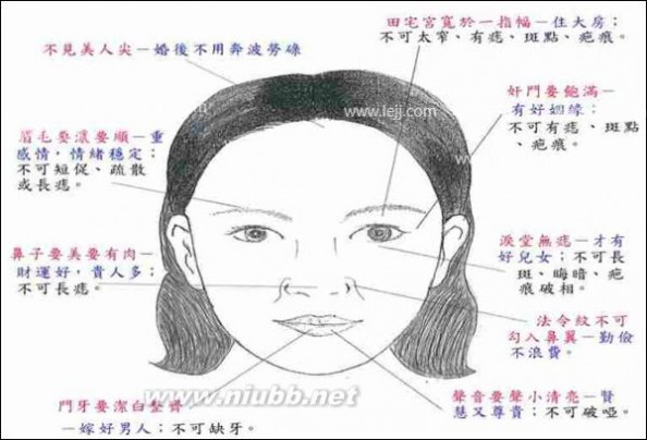 女人颧骨高面相与命运_颧骨高的女人面相图片_女人颧骨高面相