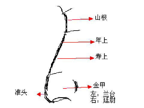 看相鼻子上长胎记_鼻子上长痣面相图_鼻子上长痤疮怎么办