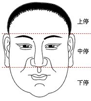 上窄下宽的脸型面相命运_上窄下圆的脸型适合什么发型_上窄中宽下窄脸型图片