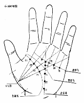 手相图解大全事业线_男生事业线手相图解_事业线图解 手相