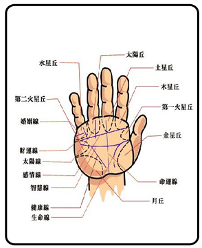 女左男右_女右命线分叉_手相生命线分男左女右吗