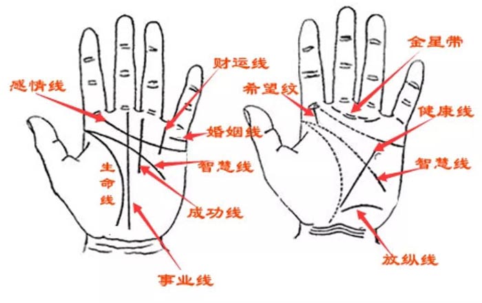 手相图解大全女_川字手相图解大全女_手相图解大全女