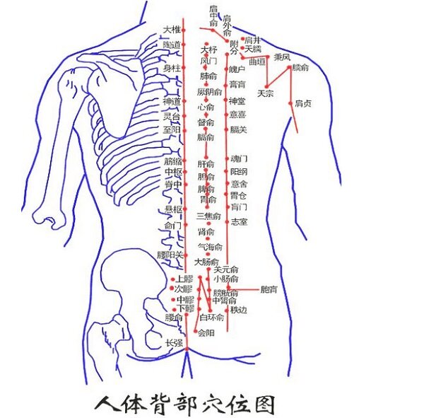 男人背部痣相图解大全_男人背部痣相图解_痣相男人背部痣相图解