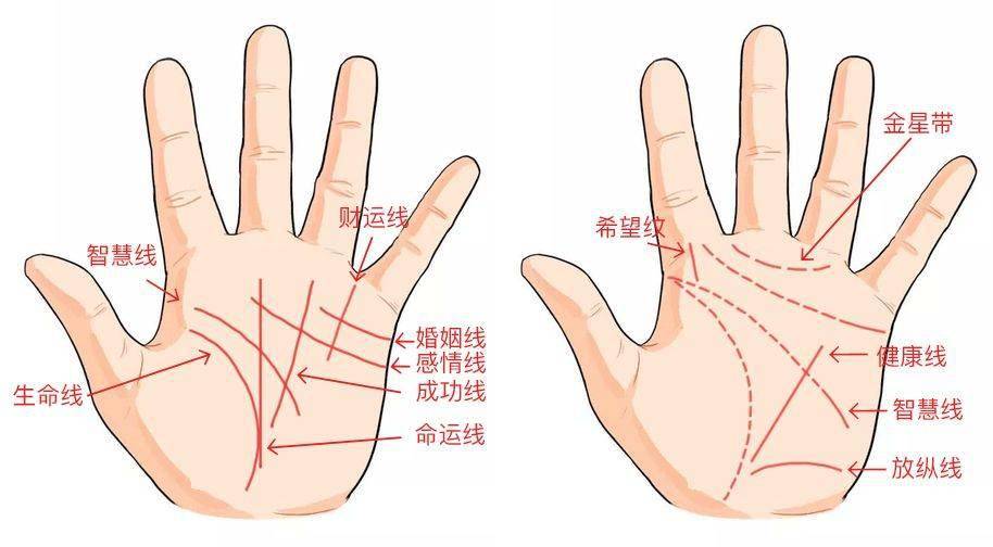 手相图解大全男智慧线_手相图解大全财运线_男看手相婚姻线大全图解