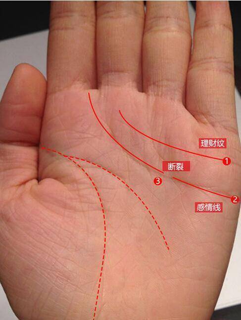 男人手相智慧线断开_智慧线断开 分上下两条_男人手相感情线断开