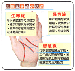 手相生命线感情线_1990年路旁土命的感情_天相坐命感情苦