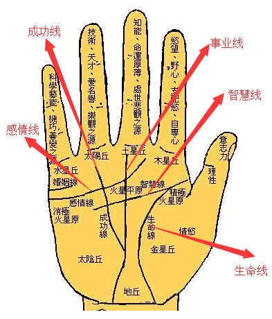 手相图解大全男右手_手相图解大全男智慧线_男手相右手智慧线