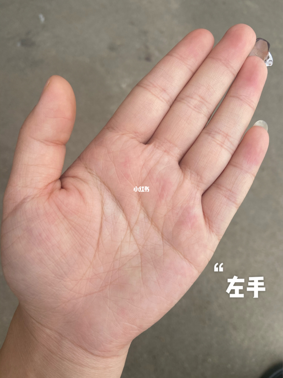 女性手相事业线成功线_手相感情线羽毛状_女的手相感情线像羽毛