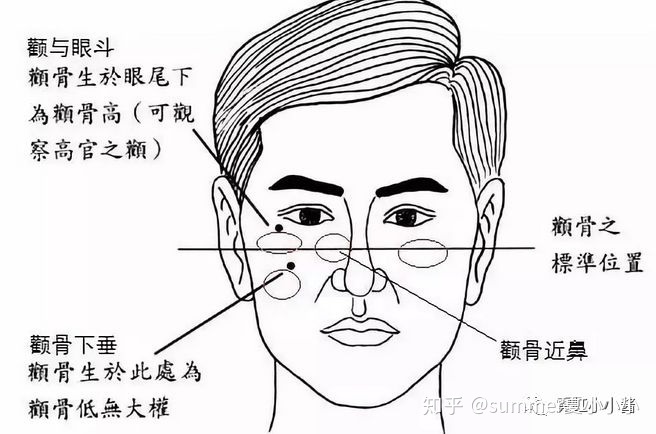 男人颧骨高额头窄面相_男人额头窄颧骨宽面相_颧骨高下颌角宽额头窄面相