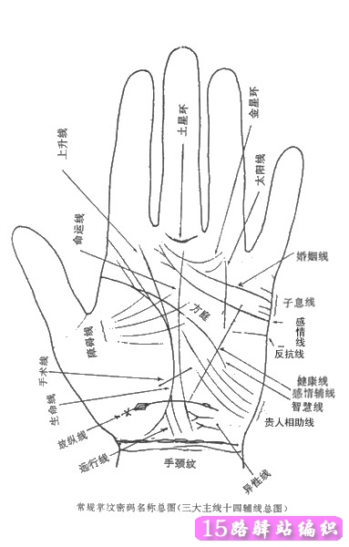 手相智慧线中间分叉_手相智慧线很长_看手相智慧线和婚姻线连在了一起