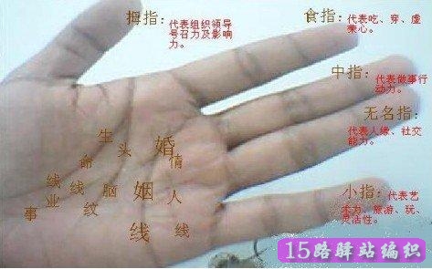 女人手相事业线图片_两条婚姻线平行清晰的女人手相_婚姻不顺的女人手相