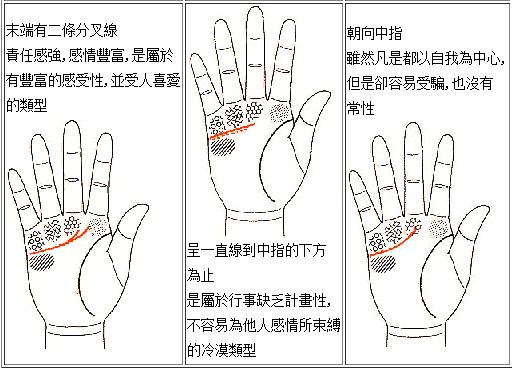 女人手相命运线图解_女人手相无感情线_女人手相财运线图解