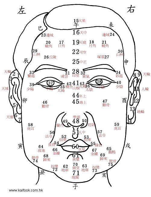 面相算命图解最易薄情的男人面相_面相算命图解大全_面相有痣算命图解女性