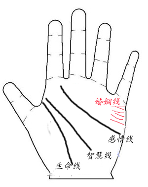 手相婚姻线三条图解_女人手相算命图解女人婚姻_女人婚姻手相算命图解