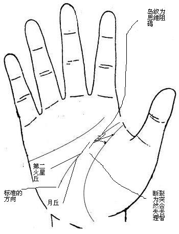 手相智慧线很长_如何看智慧线女手相_手相女智慧线看未来