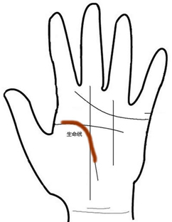 沙中金命和什么命相生_手纹线正印旁边有一个口字形代表_男人手相生命线末端人字形