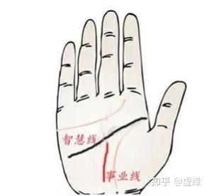 手相图解大全男左手_手相图解大全女左手感情线断裂_男人手相图解大全左手 财运