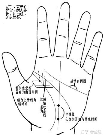 手相图解大全男左手_男人手相图解大全左手 财运_手相图解大全女左手感情线断裂