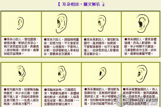 面相耳朵图解_大s耳朵面相_大s耳朵是什么耳