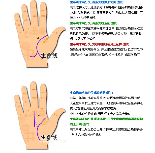 看手相右手生命线断开左手生命线完好_姻缘线看左手还是右手_手相 左手右手