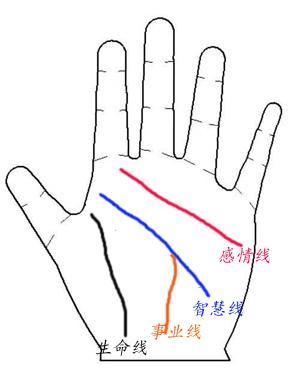 女生手相图解大全 事业线_女生右手手相事业线和成功先_女生手相事业线不明显