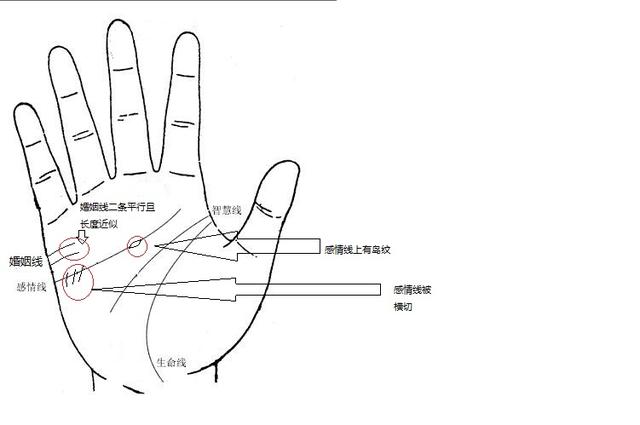 智慧线末端有岛纹_成功线在感情线上方有岛纹手相女_有事业线成功线的手相