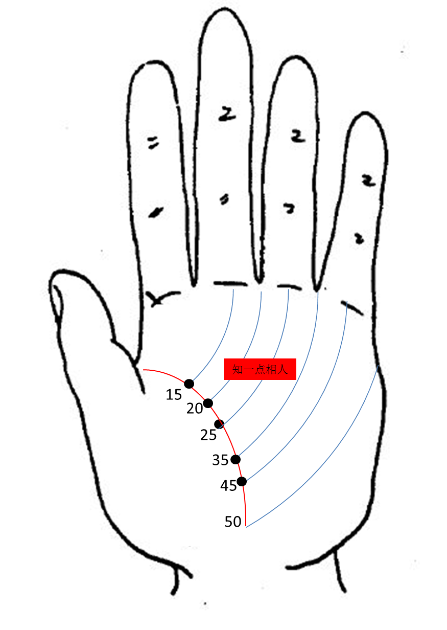 手相感情线和智慧线中交叉纹_手相生命线事业线爱情线_手相中感情线上有两条向上的线