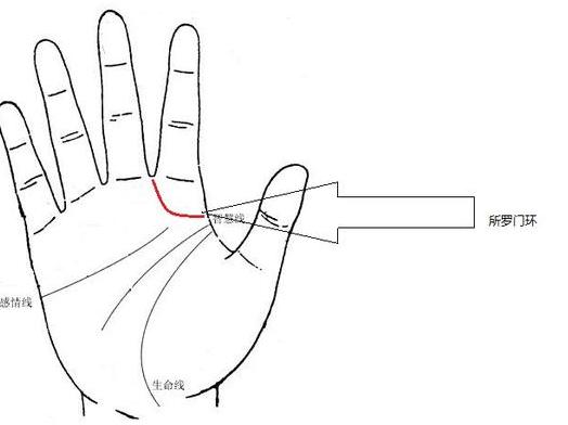 什么手相的人第六感强烈呢？方舟周易在实践中告诉你