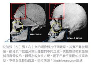 
脑袋就是要圆圆的才好看，男人头顶尖好不好的面相