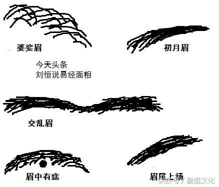 眉毛面相决定你的情理性格！你知道吗？