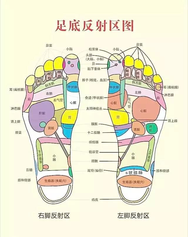 男人脚上长痣代表什么男人脚痣相图解男人长痣是好还是坏