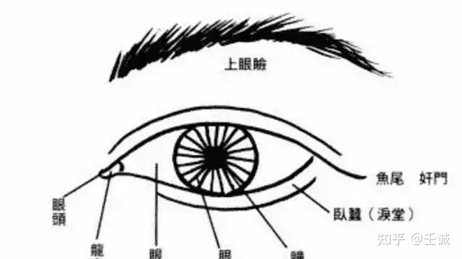 从面相学来讲，什么样的面相会有贵气呢?(组图)