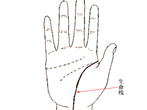 看过一点有分叉，中年婚变晚年子女不在身侧以致生活寂寞孤独