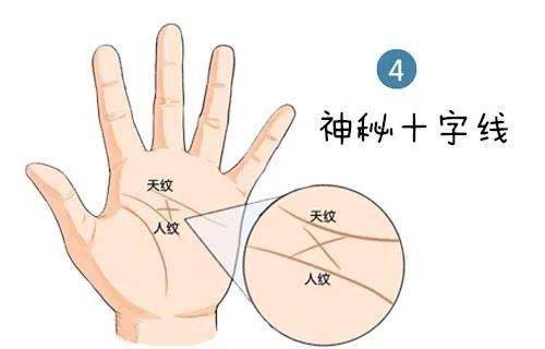 传统的手相是以纹路线纹为重要参考而现代手相