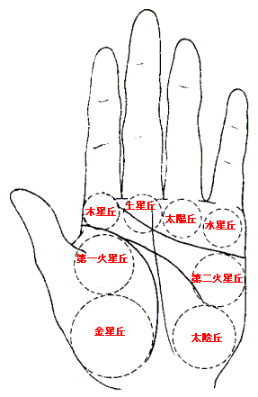 命运线起自金星丘的意义