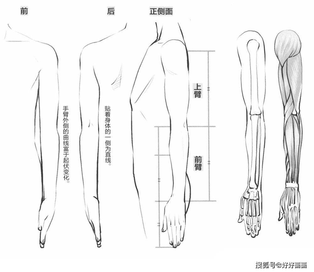 手臂上长痣代表了什么？手臂也有内外侧之分