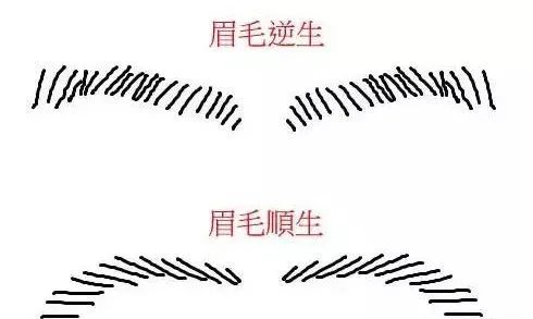 面相之上行善作恶都会在脸上有所体现的面相技巧