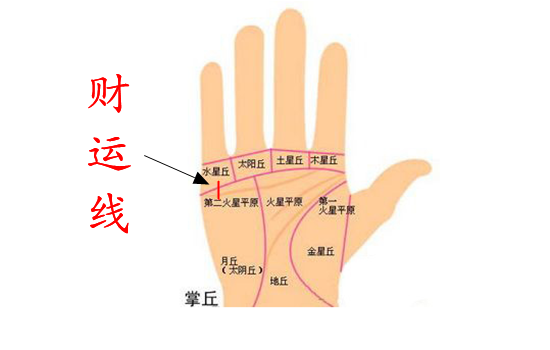 有川字断掌纹断掌手相的男人