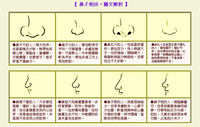 小编为鼻头大的女人面相解析与命运鼻年寿低