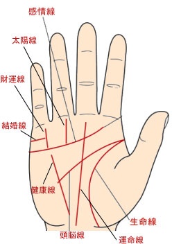 男人手相相学上说手心有痣代表什么(组图)