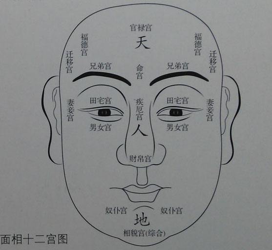 面相圆脸十二宫详解命宫的位置！