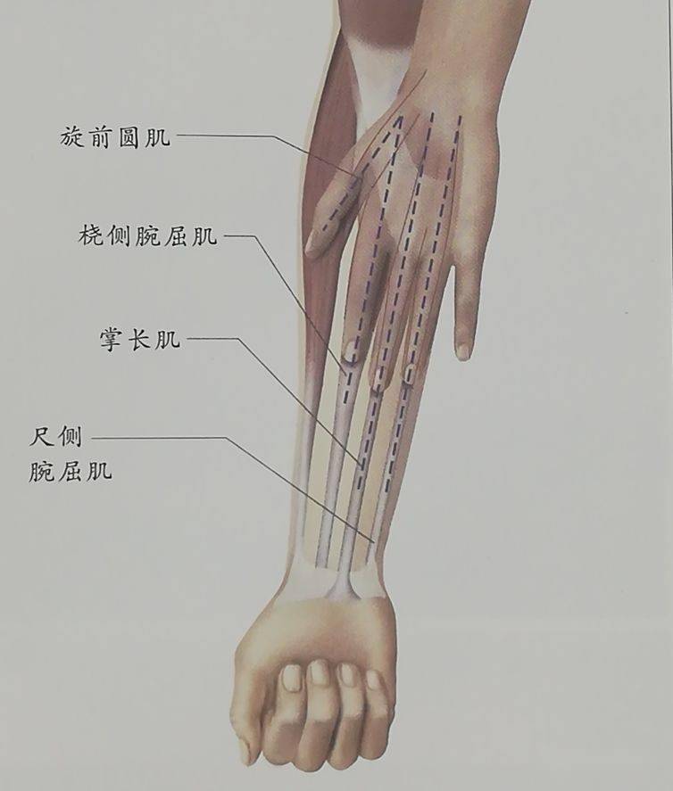 长在右手臂上的痣是好还是坏，有什么说法？