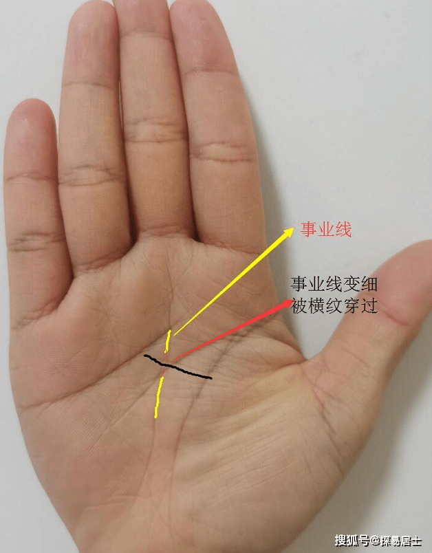 事业线是什么？事业线起、命运线、流年法事业