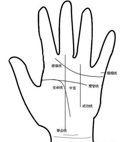 手相上没有生命线的人并不代表寿命短生命线代表什么那呢