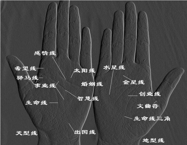 手相上没有生命线的人并不代表寿命短生命线代表什么那呢