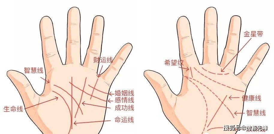 哪几种有哪几种手相是富贵命手相大富大贵斗Q3经典案例