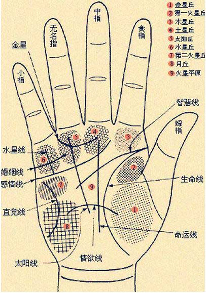 手相五大线纹，你知道几个？！