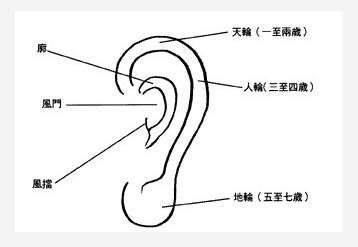 耳朵面相主要看，耳朵薄厚大