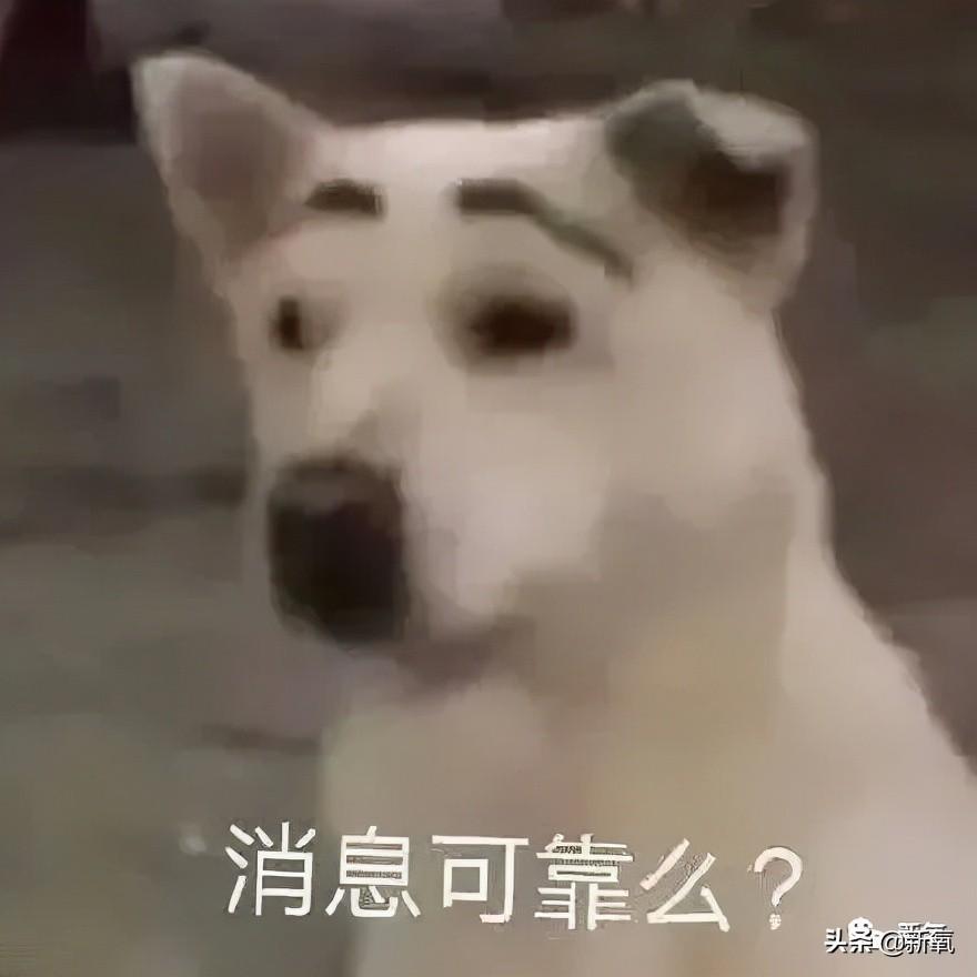 为什么有人的父母都是枪支爱好者，一看就不像好人？